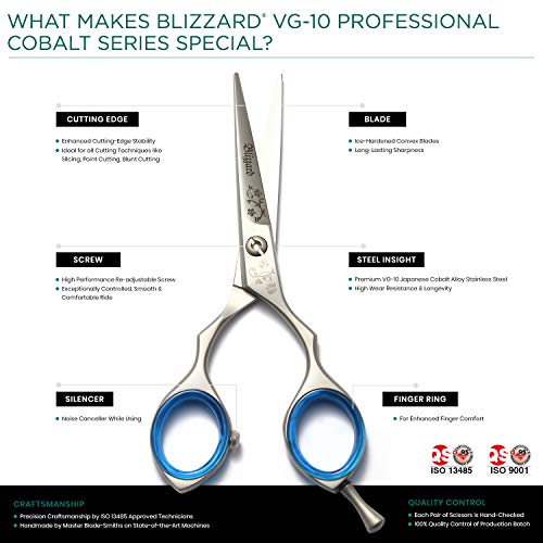 Blizzard Tijeras Peluqueria Profesional - 14 cm Afiladas Tijeras Corte Pelo - Tijera Peluquero VG10 Inox Titanio - Aptas para Hombres y Mujeres