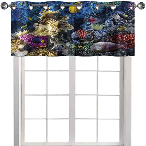 Cortinas de cenefa coloridas colonia de arrecifes de coral y peces en el mar rojo Egipto África vida submarina imagen 50 pulgadas de ancho x 18 pulgadas de largo cenefas para sala de estar, multicolor