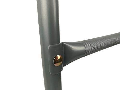 CZON SPORTS 250 cm Escalera + Tapa de Limpieza + Kit de Anclaje, Unisex-Youth, Metal Gris/Negro