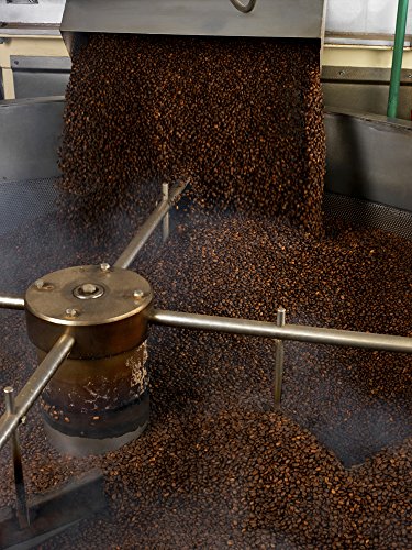 Destination Café Pur Arábica en Grano Selección, 250g (Bio)