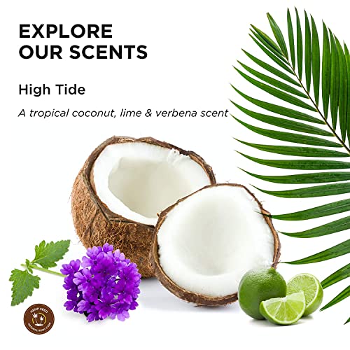 Earthly Body HSV253 Marea Alta Loción de Manos y Cuerpo con Aroma de Verbena y Lima de Coco, Multicolor, Talla única