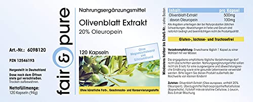 Extracto de Hoja de Olivo - 20% de Oleuropeína - Olive Leaf Extract - Alta pureza - 120 Cápsulas