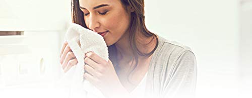 HygienFresh Tintolav Ambientador Talco Fiorentino Profesional Perfume higienización Spray Desodorante Lavandería Telas Interiores, Armario, Coche, Zapatos, Telas, Cortinas 400 ML