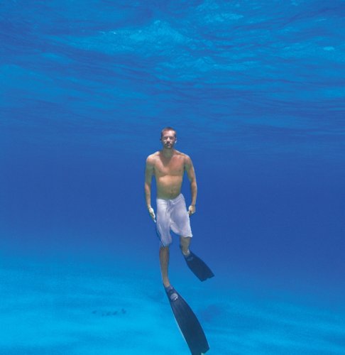 Into the Blue [Alemania] [DVD]