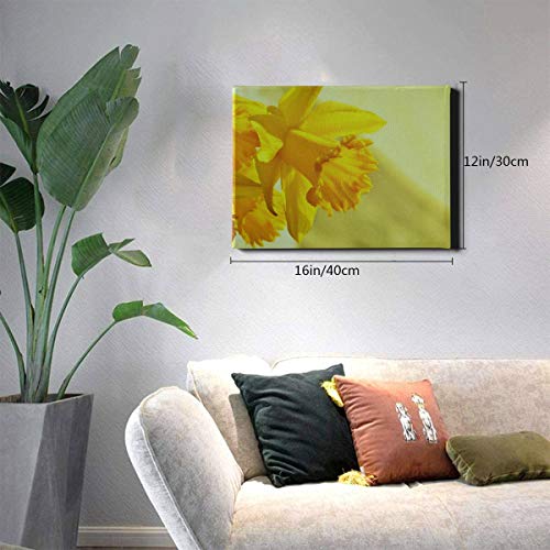JIUCHUAN Decoración de Paredes Narcisos Osterglocken Flor Amarilla Flor Primavera Pintado en la Pared 12 x 16 Pulgadas (30x40 cm) Impresión en Lienzo Imágenes Obras de Arte en la Pared Imágenes