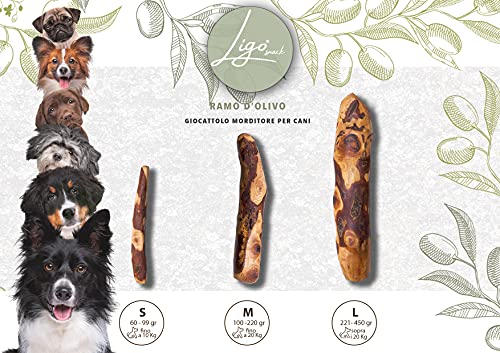 Ligo - rama de olivo, juguete mordidor para perros, 100 % natural, ideal para la higiene dental (S 60-99 g)