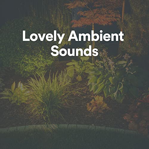 Lovely Ambient Sounds