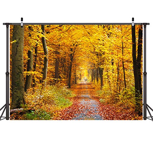 LYWYGG 7x5FT Hojas caídas Paisaje de Hoja caduca Paisaje Natural Telones de Fondo de otoño Árbol y Hojas de otoño Amarillas Ver Decoraciones de Fiesta CP-68