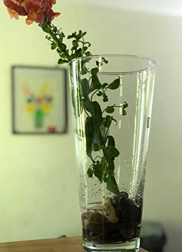 Maison Zoe - Jarrón de Cristal soplado y Hecho a Mano con Iris de 30 cm de Altura – Deco & Boda …