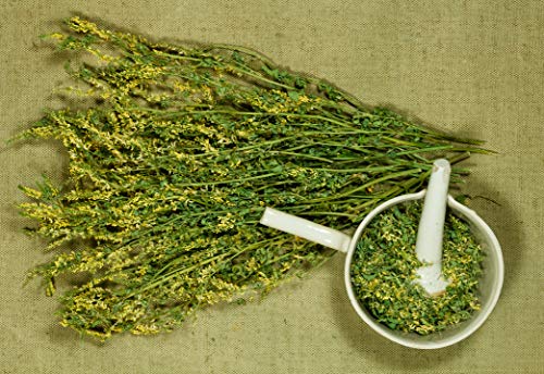 ❀ Meliloto eco francés ❀ Solución bebible de plantas frescas - Pesadez de piernas - Certificado de origen Francia ✓ Certificado AB ✓