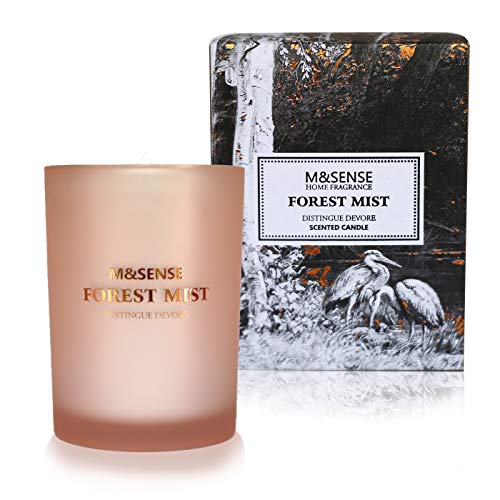 M&Sense - Vela aromática con aroma de niebla del bosque, 100% materias primas naturales, hecha a mano con 250 g de cera de soja, aromaterapia, 50 horas de combustión, caja de regalo