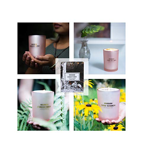 M&Sense - Vela aromática con aroma de niebla del bosque, 100% materias primas naturales, hecha a mano con 250 g de cera de soja, aromaterapia, 50 horas de combustión, caja de regalo