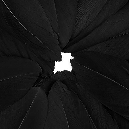 Mwoot Plumas de Ganso, 50pcs Natural Plumas para Manualidades Decoración para Disfraces Hats, Hogar Bricolaje, Ropa Casa Fiesta (accesorio de disfraz)-Negro