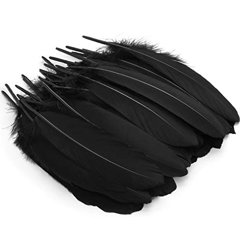 Mwoot Plumas de Ganso, 50pcs Natural Plumas para Manualidades Decoración para Disfraces Hats, Hogar Bricolaje, Ropa Casa Fiesta (accesorio de disfraz)-Negro