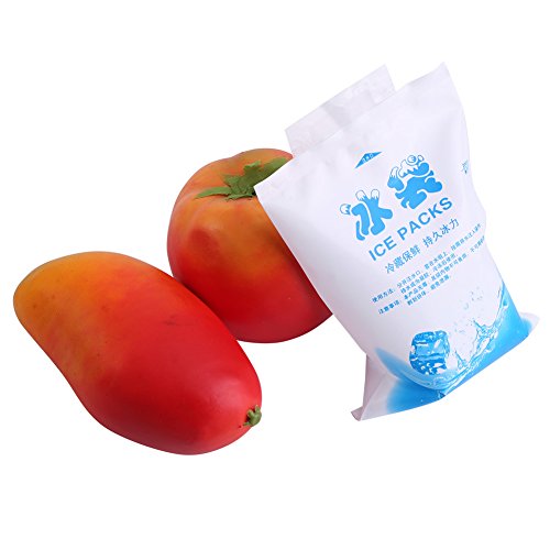 Paquetes de gel de Hielo, Fydun Bolsa de enfriamiento de gel de paquete de hielo reutilizable de 10 piezas para uso en la industria de alimentos vegetales y vino(200ml)