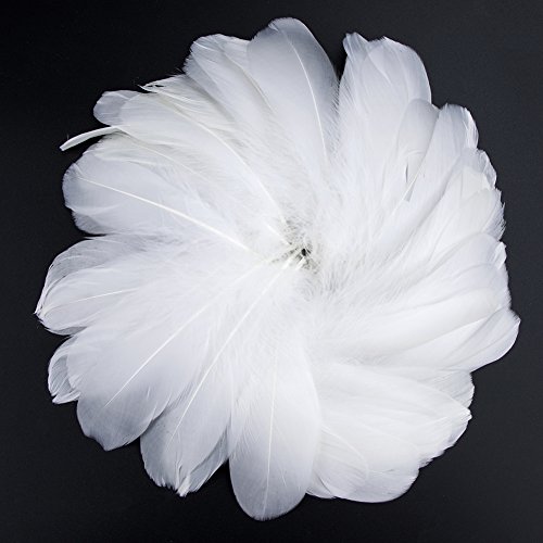 Plumas de Ganso, 250 pcs Blanco Natural Plumas de Gallo Manualidades Decoración para Disfraces Hats, Hogar Bricolaje, Ropa Casa Fiesta (accesorio de disfraz)