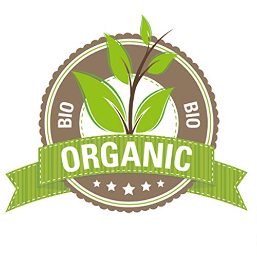 REVE pack Crema Hidratante Facial Bio + Óleo Sérum Bio - Hombre y Mujer, Día y Noche - Combinados consigue un efecto booster - apto para veganos y pieles sensibles.
