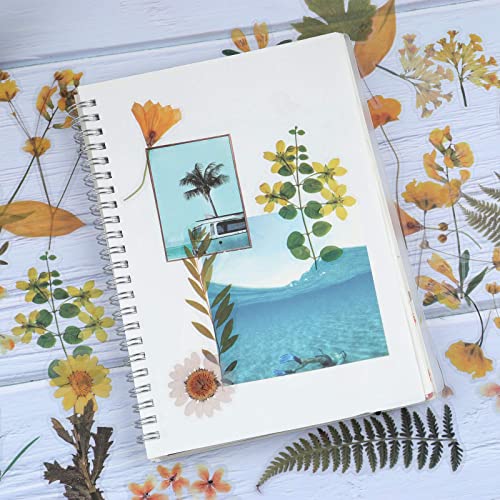 RisyPisy 160 Piezas Naturales Pegatinas, Florales y Plantas Stickers, Varias Pegatinas de Formas Especiales para Manualidades, Bullet Journal, Cuadernos, Portátiles, Teléfonos Móviles, Calendarios