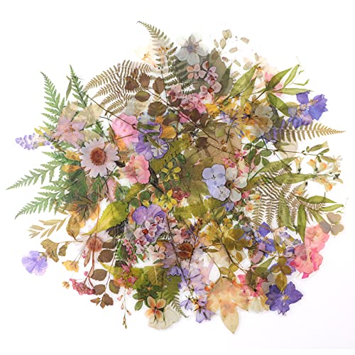 RisyPisy 160 Piezas Naturales Pegatinas, Florales y Plantas Stickers, Varias Pegatinas de Formas Especiales para Manualidades, Bullet Journal, Cuadernos, Portátiles, Teléfonos Móviles, Calendarios