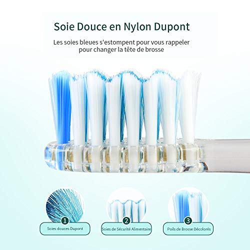Seago Cepillo de dientes eléctrico para niños de 3 a 12 años, con temporizador inteligente y luces LED de color y 3 cabezales de cepillo para niños y niñas SGEK6/SG977 (verde)