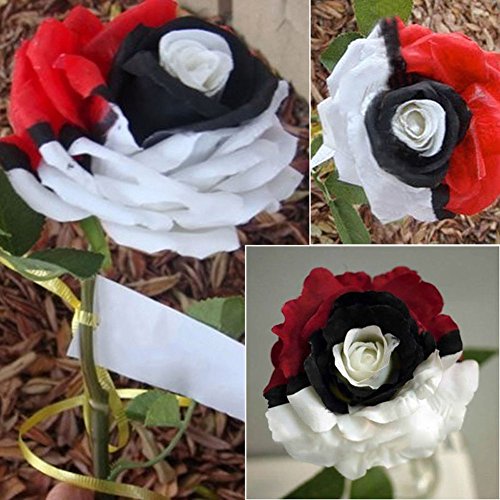 Semillas de flores de rosas, color rojo, blanco y negro, semillas de flores de jardín, bonsái, decoración del hogar y la oficina