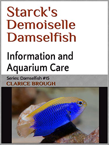 Starck's Damselfish (English Edition)
