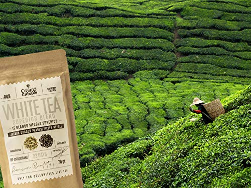Te blanco premium Pai Mu Tan & Silver Needle | hojas enteras recolectadas a mano | potente antioxidante natural | te saludable y depurativo 70g