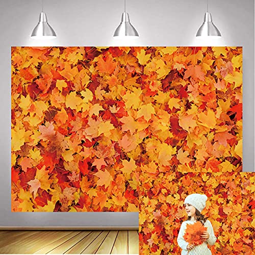 Tela Otoño Hoja de Arce Telón de fondo Otoño Bosque de Otoño Hojas Caídas Fotografía Fondo Día de Acción de Gracias Niños Fiesta de Cumpleaños Decoraciones Retrato Foto Estudio Fot