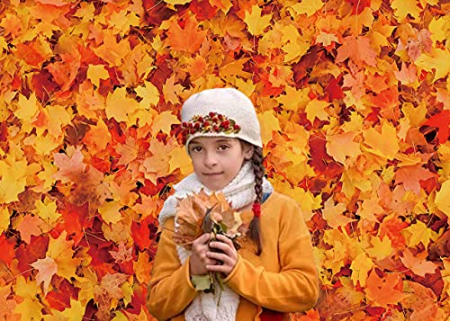 Tela Otoño Hoja de Arce Telón de fondo Otoño Bosque de Otoño Hojas Caídas Fotografía Fondo Día de Acción de Gracias Niños Fiesta de Cumpleaños Decoraciones Retrato Foto Estudio Fot