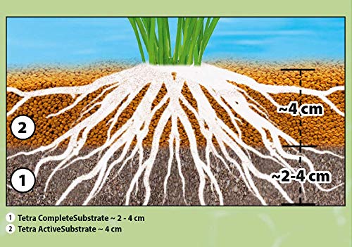 Tetra ActiveSubstrate (suelo natural de minerales de arcilla neutros al agua, alternativa a las piñas de acuario)