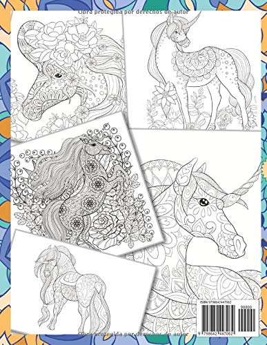 Unicornio y flores - Libro de colorear para adultos 🦄