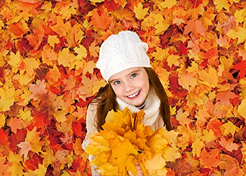WDA Otoño Hoja de Arce Tema Fondo de la Hoja de Arce Fotografía Telón de Fondo de Otoño Cosecha Decoración Banner Estudio Foto Booth Suministros Props (7x5FT)