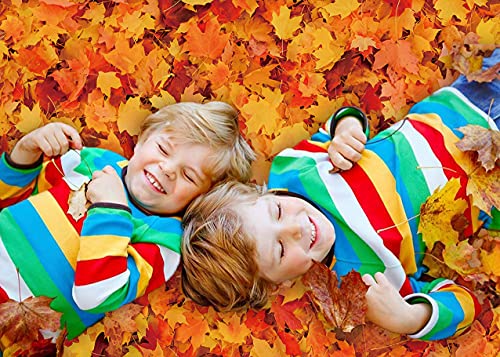 WDA Otoño Hoja de Arce Tema Fondo de la Hoja de Arce Fotografía Telón de Fondo de Otoño Cosecha Decoración Banner Estudio Foto Booth Suministros Props (7x5FT)