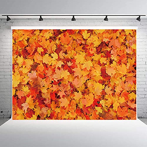 WDA Otoño Hoja de Arce Tema Fondo de la Hoja de Arce Fotografía Telón de Fondo de Otoño Cosecha Decoración Banner Estudio Foto Booth Suministros Props (7x5FT)
