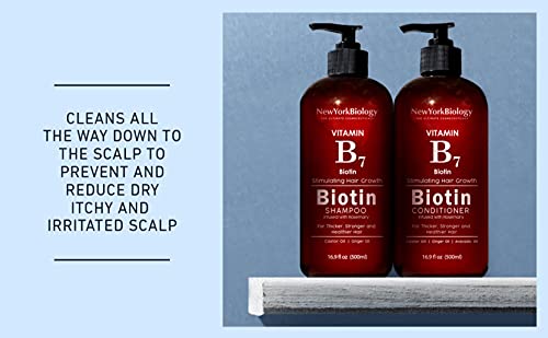 Biotin Champú y Acondicionador Set para Crecimiento y Adelgazamiento del Cabello – Fórmula Espesante para Tratamiento de Pérdida de Cabello – Para Hombres y Mujeres – Anti Caspa - 500 ml