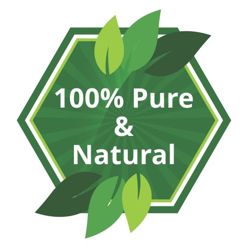 CARAWAY OIL 100% NATURAL PURE UNDILUTED UNCUT ESSENTIAL OILS 15ML