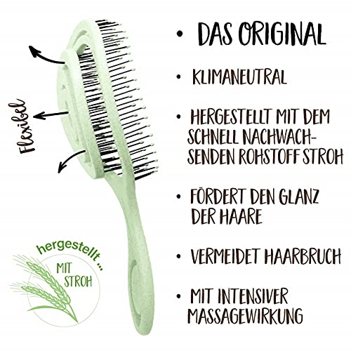 Chiara Ambra cepillo para el cabello, ecológico, no tira del pelo, de paja, masajea el cuero cabelludo, cepillo para desenredar contra la caída del cabello y el encrespamiento para un cabello sano