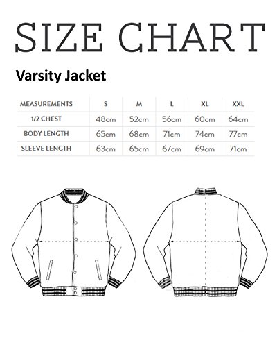 Cloud City 7 NASA Logo Musk Men's Varsity Jacket