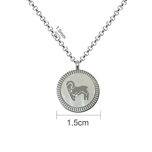 cotigo Collar Zodiaco Acero Inoxidable con Nácar hermosa Tarjeta Significado Signo Zodiacal Colgante Horóscopo Aries Para mujer o Hombre Regalo Cumpleaños Día de madre San Valentín (Aries)