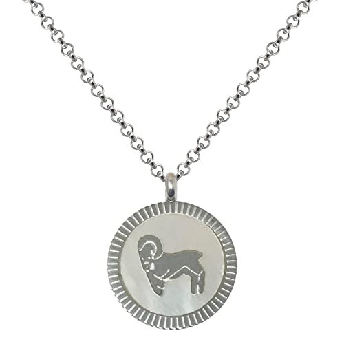 cotigo Collar Zodiaco Acero Inoxidable con Nácar hermosa Tarjeta Significado Signo Zodiacal Colgante Horóscopo Aries Para mujer o Hombre Regalo Cumpleaños Día de madre San Valentín (Aries)
