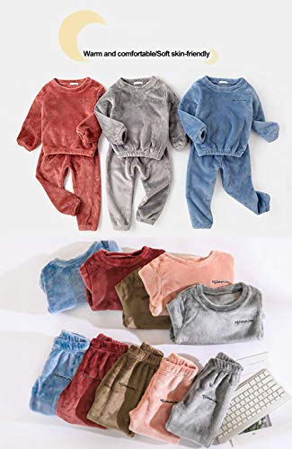 DEBAIJIA Bebé Ropa de Casa 2-12T Infantil Homewear Niños Pijama Niña Ropa de Dormir Niño Camisones Franela Calentar Invierno (Gris-140)