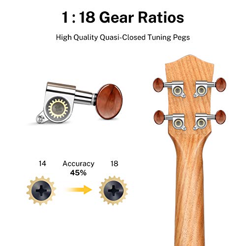 Donner Ukelele Concierto 23 Pulgadas para Adultos Niños Principiante Ukelele Madera Caoba Kit y Cuerda Nylon, Online Lección DUC-200