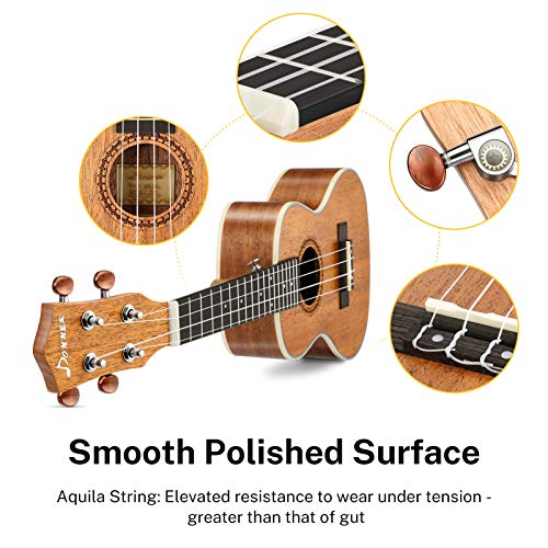 Donner Ukelele Concierto 23 Pulgadas para Adultos Niños Principiante Ukelele Madera Caoba Kit y Cuerda Nylon, Online Lección DUC-200