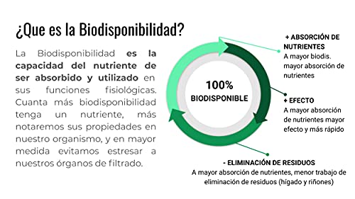 Energy Feelings Comprimidos De Maca Negra Andina Ecológica | Recuperador Muscular Vigorizante Energizante Regulador Hormonal | Maca Negra Biodisponible | 120 Comprimidos De 500mg, color Marron Claro