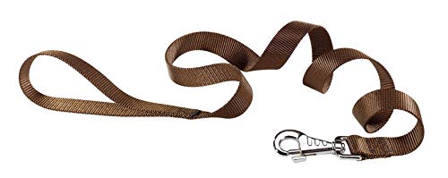 Ferplast Club G25/120 - Correa de Nailon para Perros