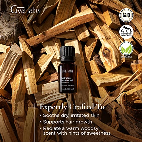 Gya Labs Aceite esencial de sándalo australiano para el cuidado de la piel, Focus - Aceite de sándalo esencial para piel seca y estado de ánimo estimulante -10ml