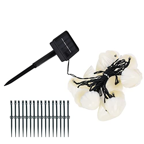 IDWT Cadena de Lámpara de Paisaje, Forma, 20 LED Económicos, 8 Modos de Iluminación, Luz Solar para el Camino del Hogar, Césped, Patio, Pasarela(#1)