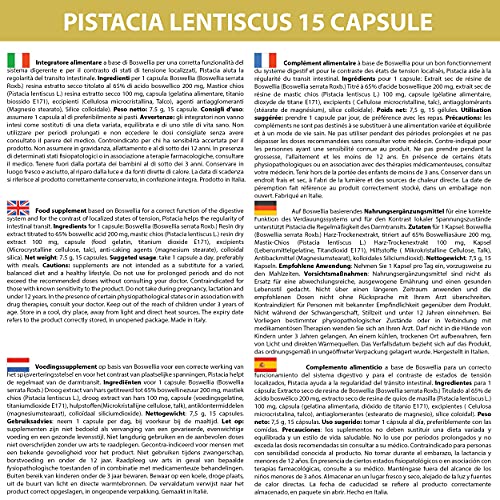 Masilla de Chios y Boswellia 15 cápsulas | 1 al día | Pistacia Lentiscus vientre y estómago