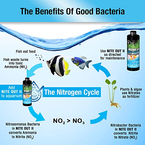 MICROBE-LIFT niteoutii para Acuario Pecera Hogar
