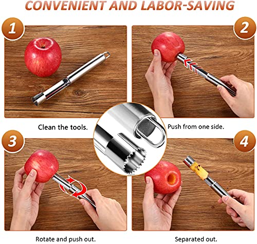 Nuyoah Vaciador de Frutas y Verduras Descorazonador de Manzanas Tallar Frutas Rallador de Limón 4 Piezas Acero Inoxidable Kit Cuchillo Tallado de Fruta Juego de Herramientas para Frutas
